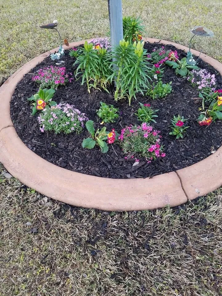 Local lawn care service experts serving Augusta, GA - Home Pro Services