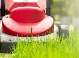 Local residential landscaping in Bolivar, OH - Home Revive