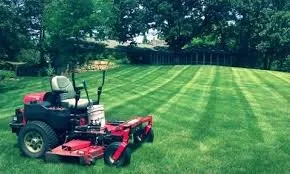 Expert landscape design experts serving Bolivar, OH - Home Revive