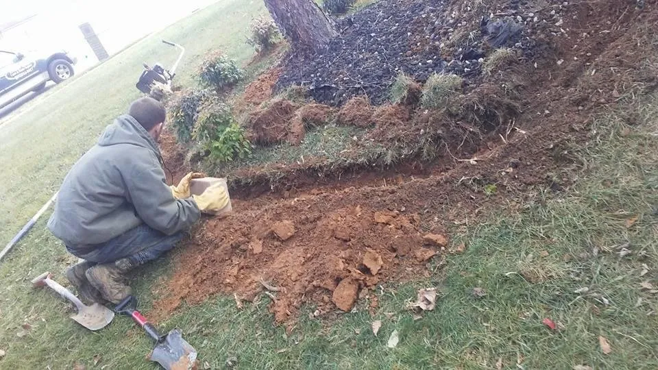 Top-rated lawn mowing service with custom design in Owensboro, KY by Home Run Lawn & Home Repairs