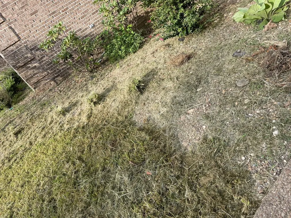 Trusted outdoor landscaping for year-round maintenance in Owensboro, KY by Home Run Lawn & Home Repairs