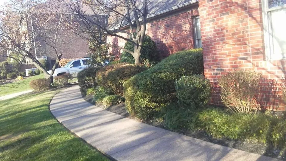 Affordable yard cleanup service in Owensboro, KY by Home Run Lawn & Home Repairs