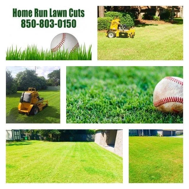 Professional landscape installation experts serving Navarre, FL - Home Run Lawn Cuts