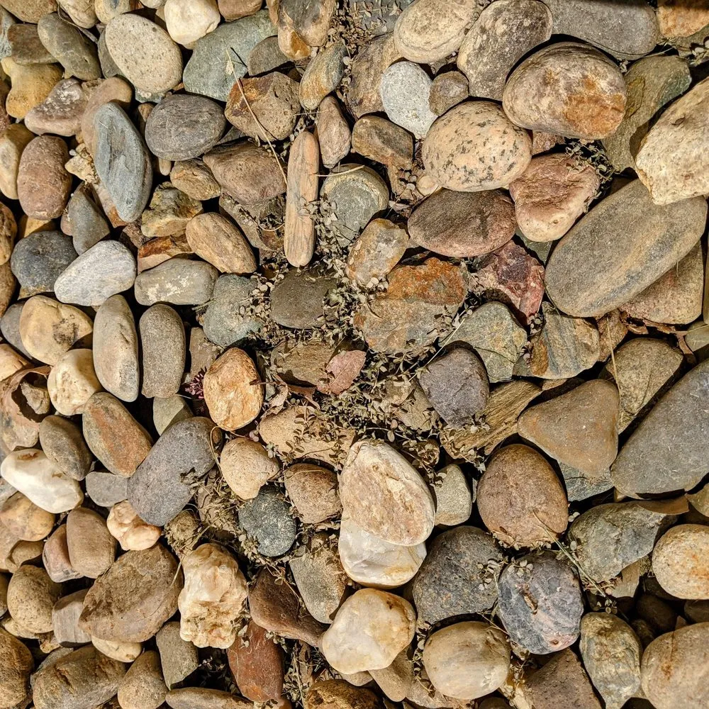 Trusted residential landscaping in Lodi, CA by Home Safe