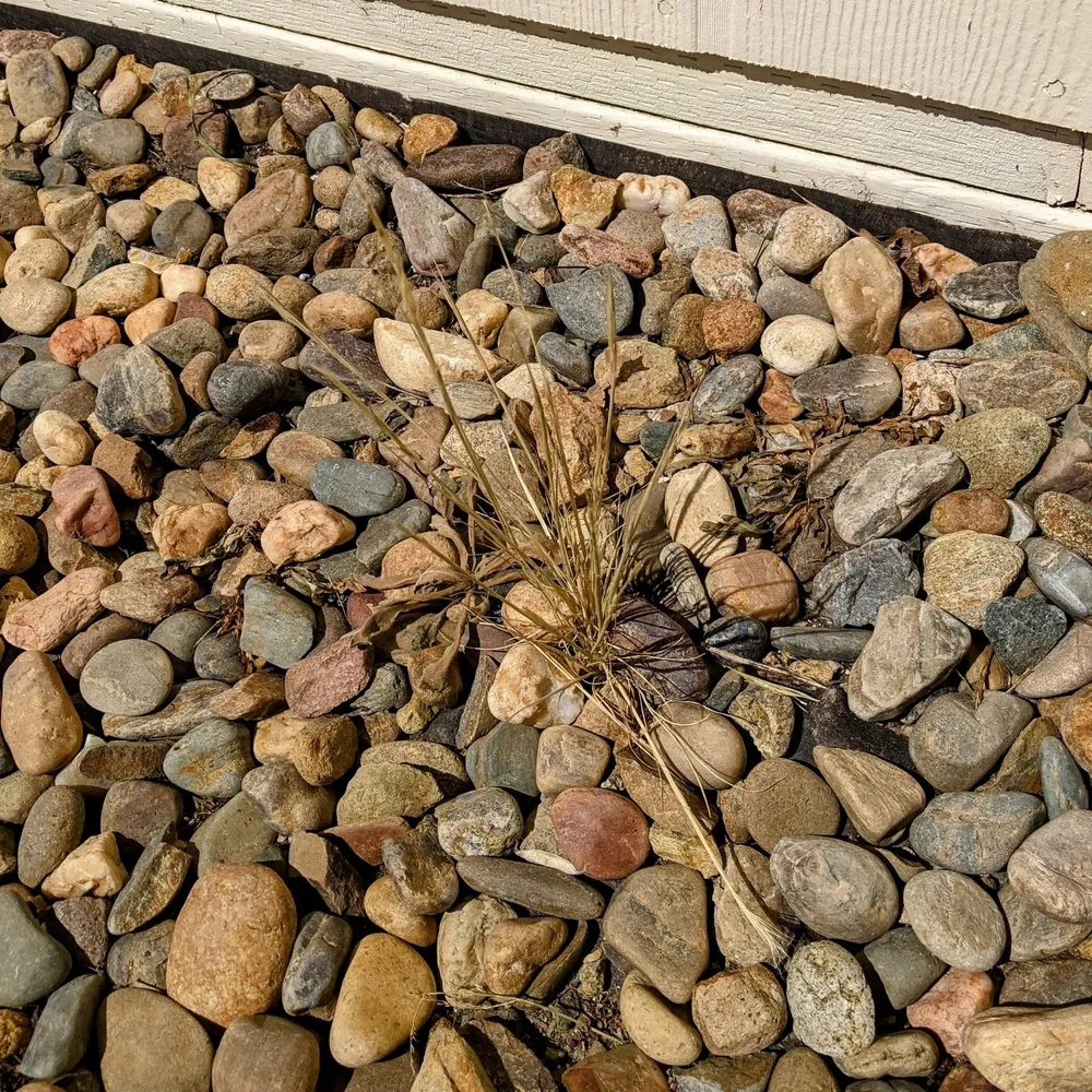 Expert residential landscaping in Lodi, CA by Home Safe