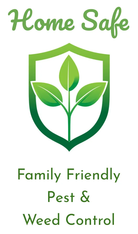 Affordable garden landscaping experts serving Lodi, CA - Home Safe