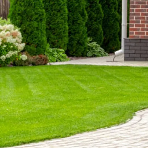 Trusted residential landscaping for homes across Lodi, CA - Home Safe