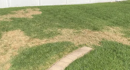 Affordable garden landscaping in Lodi, CA - Home Safe