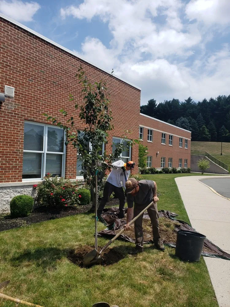 Professional outdoor landscaping in Hamburg, PA - Home Scape Services