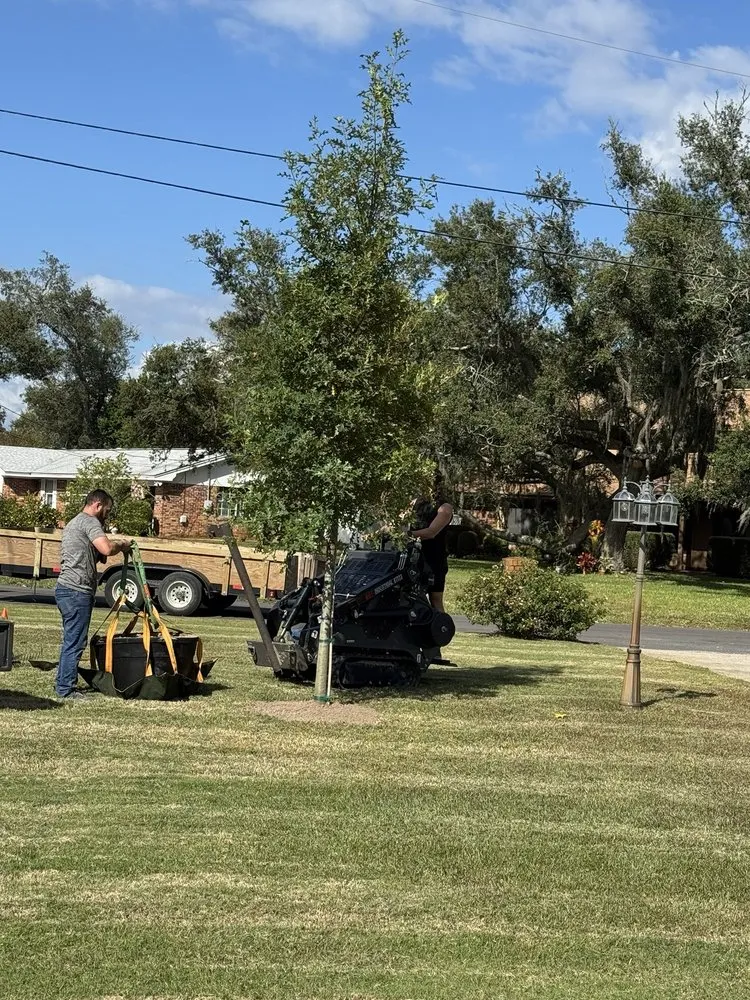 Affordable residential landscaping experts serving Southport, FL - Home Service Pros