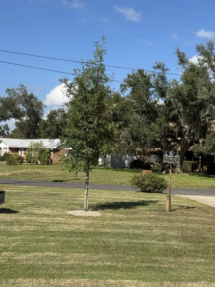 Reliable yard maintenance in Southport, FL - Home Service Pros