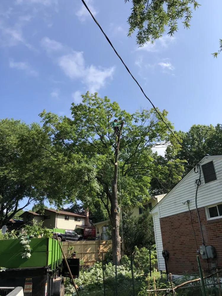 Custom landscape design experts serving Hagerstown, MD - Home Services by A&D