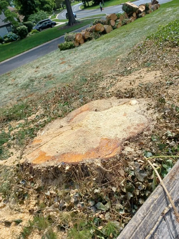 Custom yard maintenance for residential properties across Hagerstown, MD - Home Services by A&D