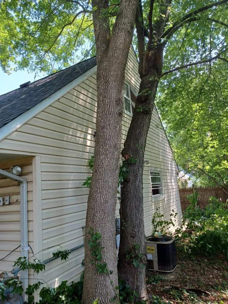 Trusted lawn care service in Hagerstown, MD - Home Services by A&D