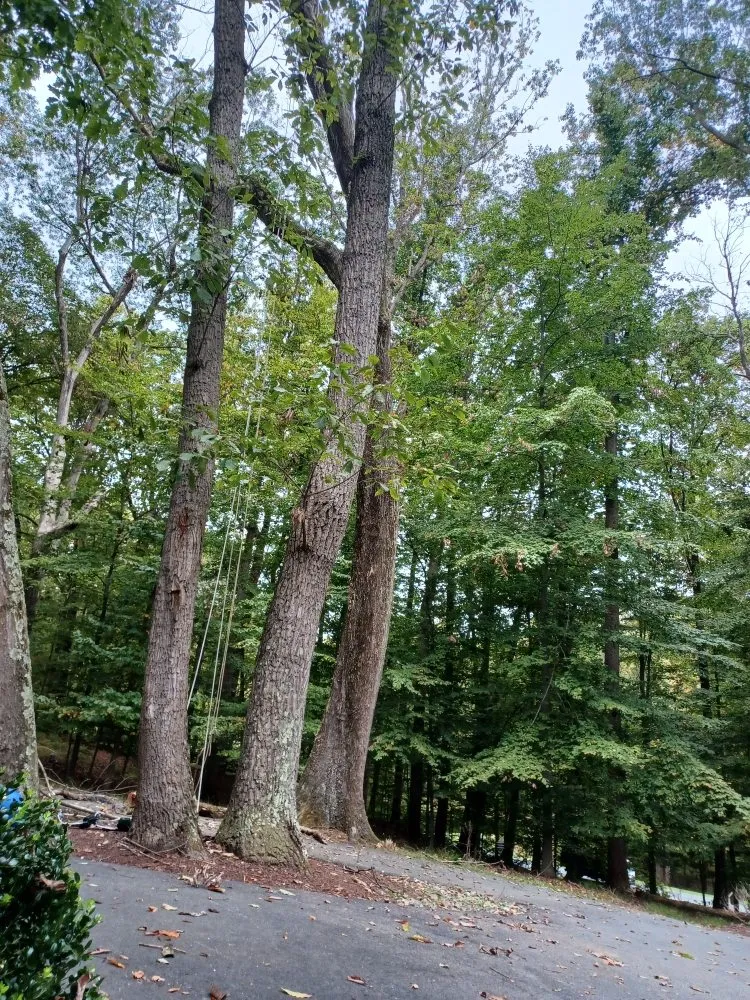 Trusted outdoor landscaping in Hagerstown, MD by Home Services by A&D