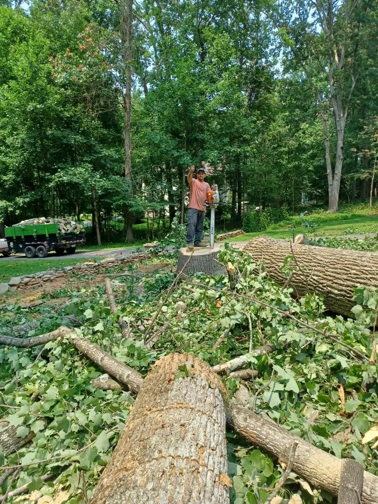 Local residential landscaping in Hagerstown, MD by Home Services by A&D