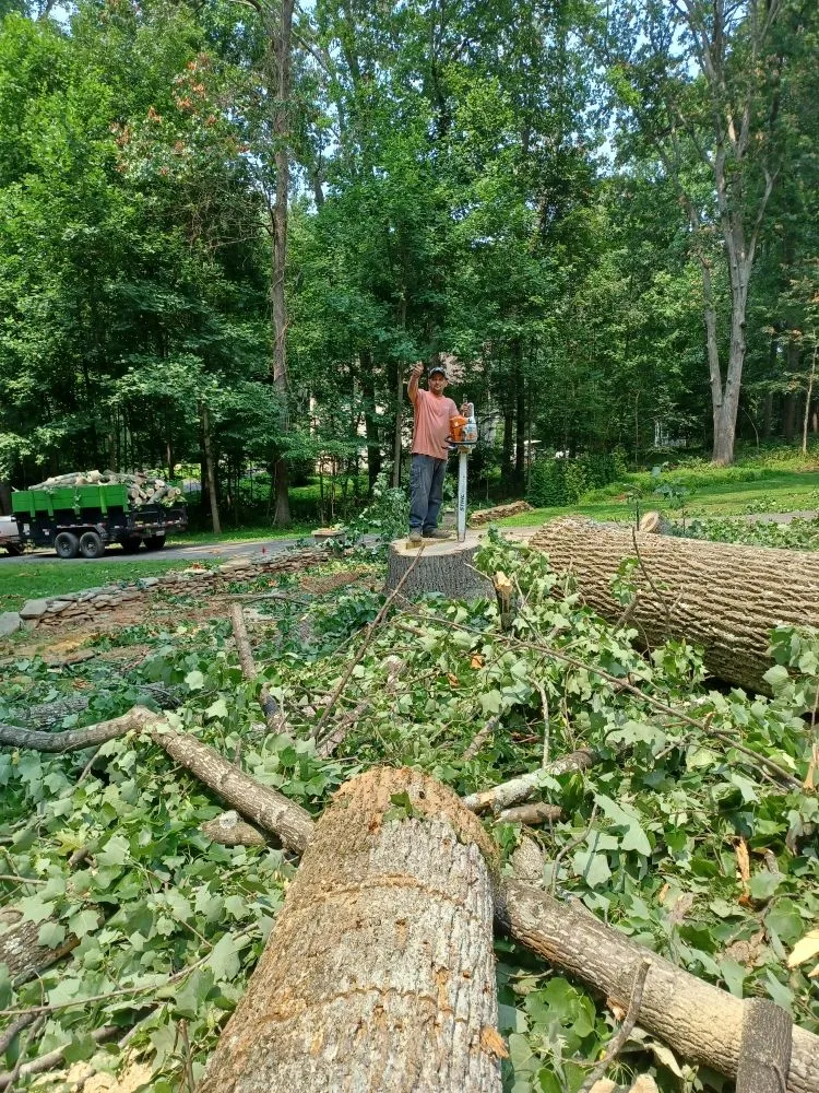 Expert landscape design in Hagerstown, MD by Home Services by A&D