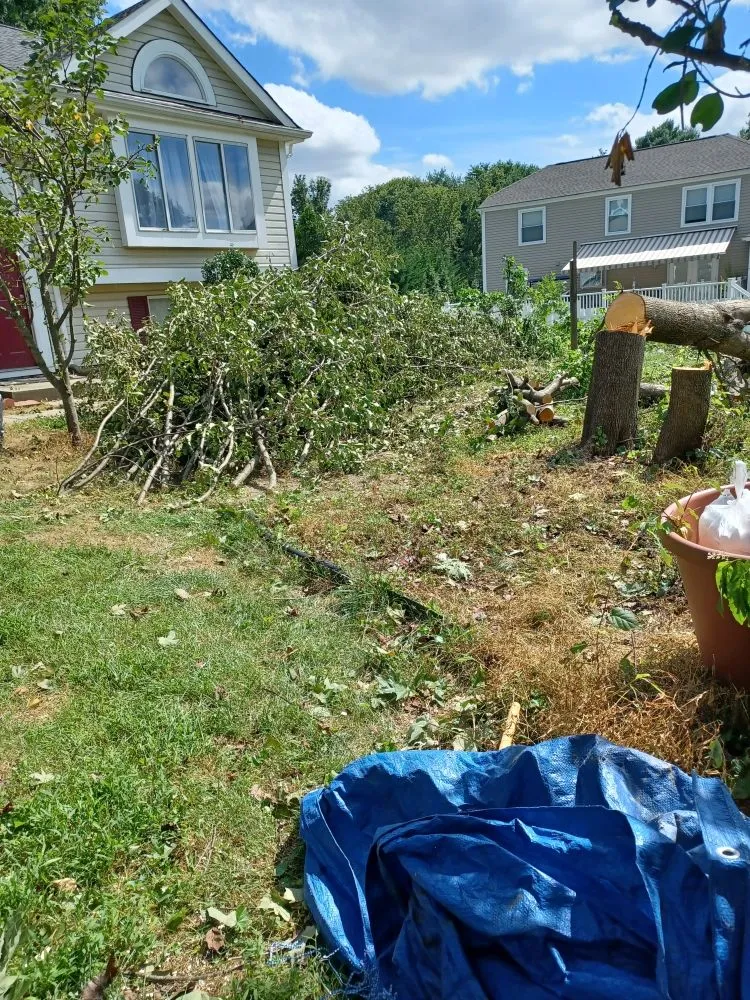 Trusted lawn mowing service for year-round maintenance across Hagerstown, MD - Home Services by A&D