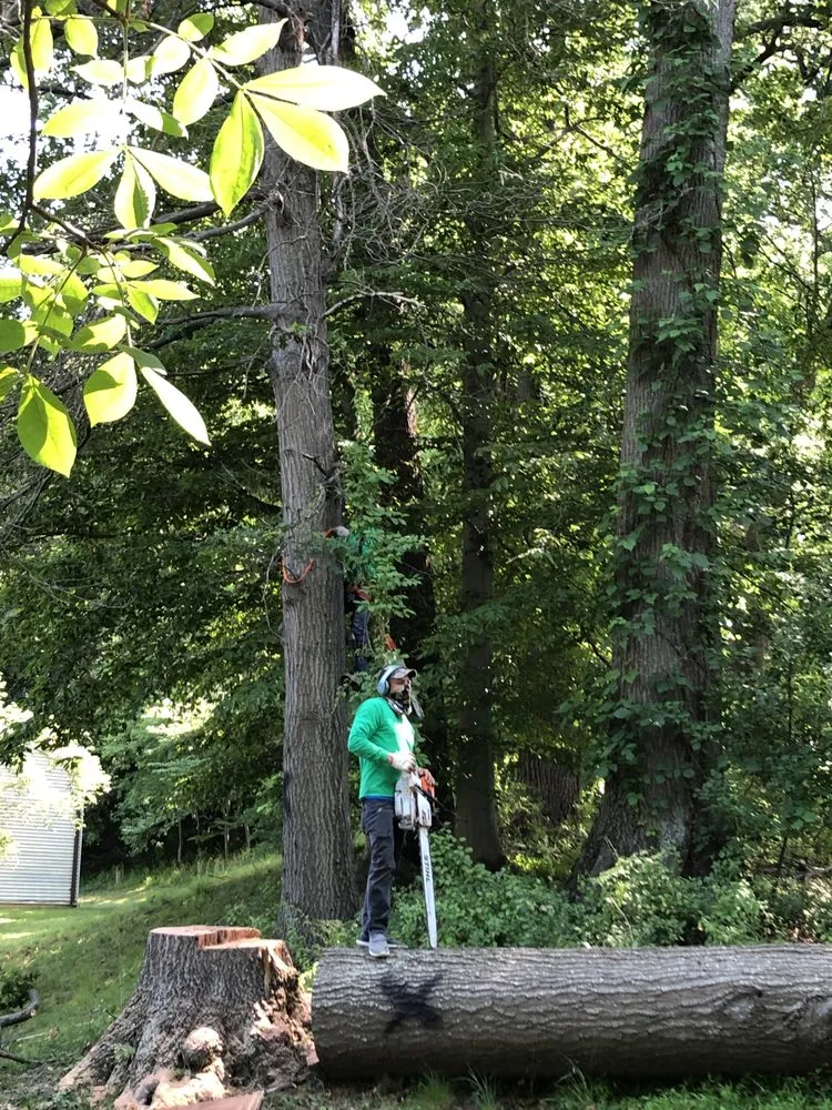 Expert garden landscaping in Hagerstown, MD by Home Services By A&D