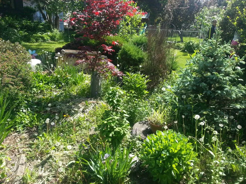 Reliable garden landscaping for homes in Hampstead, NC by Home Services Conglomerate