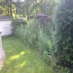 Expert landscape installation in Hampstead, NC - Home Services Conglomerate