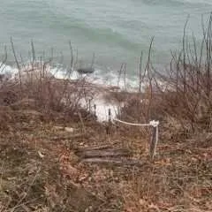 Top-rated lawn care service experts serving Hampstead, NC - Home Services Conglomerate