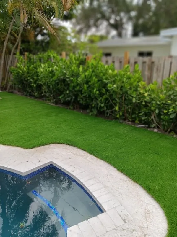Affordable landscape design experts serving Hollywood, FL - Home Shield Landscaping & Tree Services