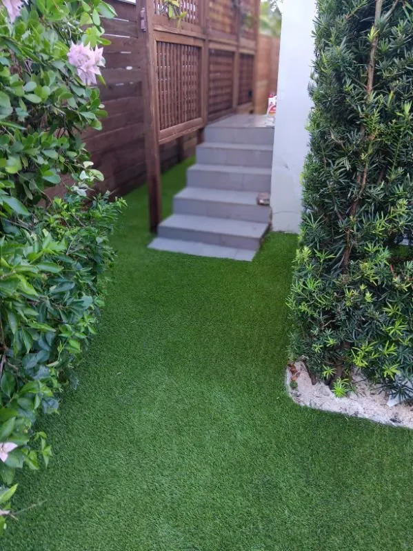 Custom residential landscaping for year-round maintenance across Hollywood, FL - Home Shield Landscaping & Tree Services