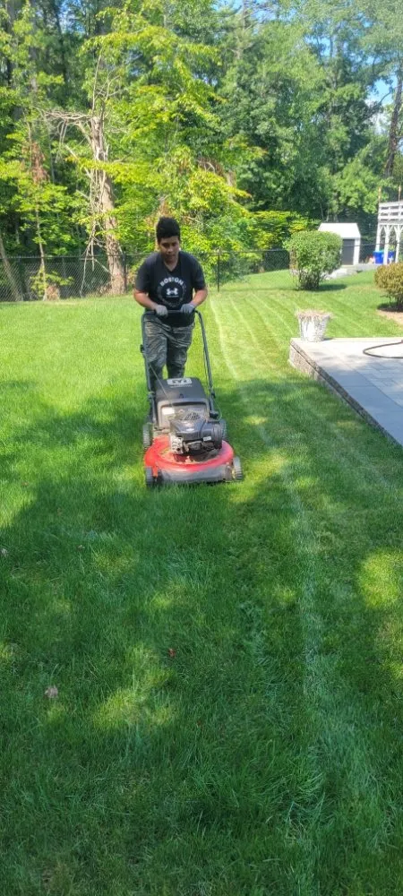 Affordable lawn mowing service for year-round maintenance in Braintree, MA by Home Shield Pest Solutions