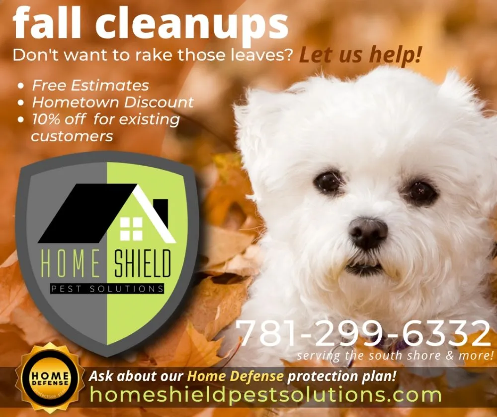 Top-rated landscape design near you in Braintree, MA by Home Shield Pest Solutions