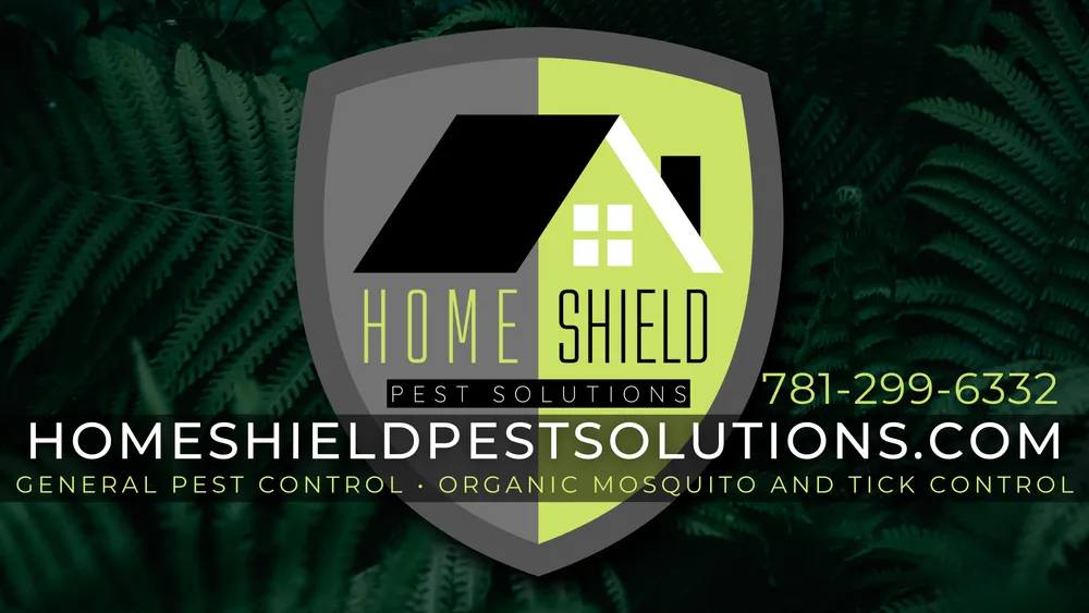 Reliable yard cleanup service for residential properties in Braintree, MA by Home Shield Pest Solutions