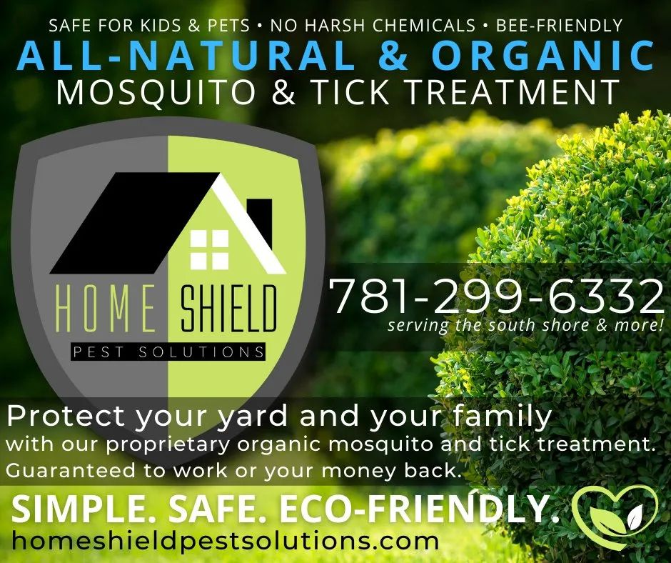 Affordable landscaping services for residential properties across Braintree, MA - Home Shield Pest Solutions