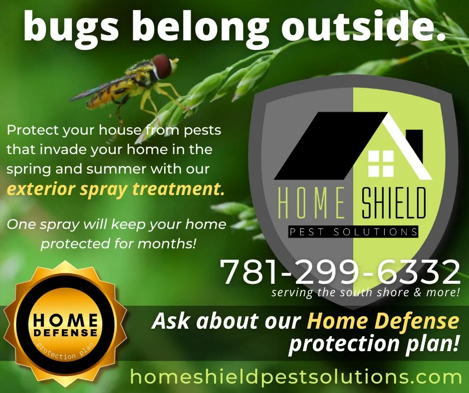 Top-rated landscape installation experts serving Braintree, MA - Home Shield Pest Solutions