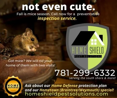 Home Shield Pest Solutions Logo