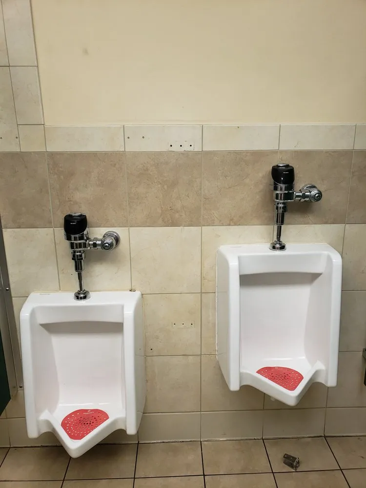 Custom lawn care service experts serving Louisville, KY - Home Solutions