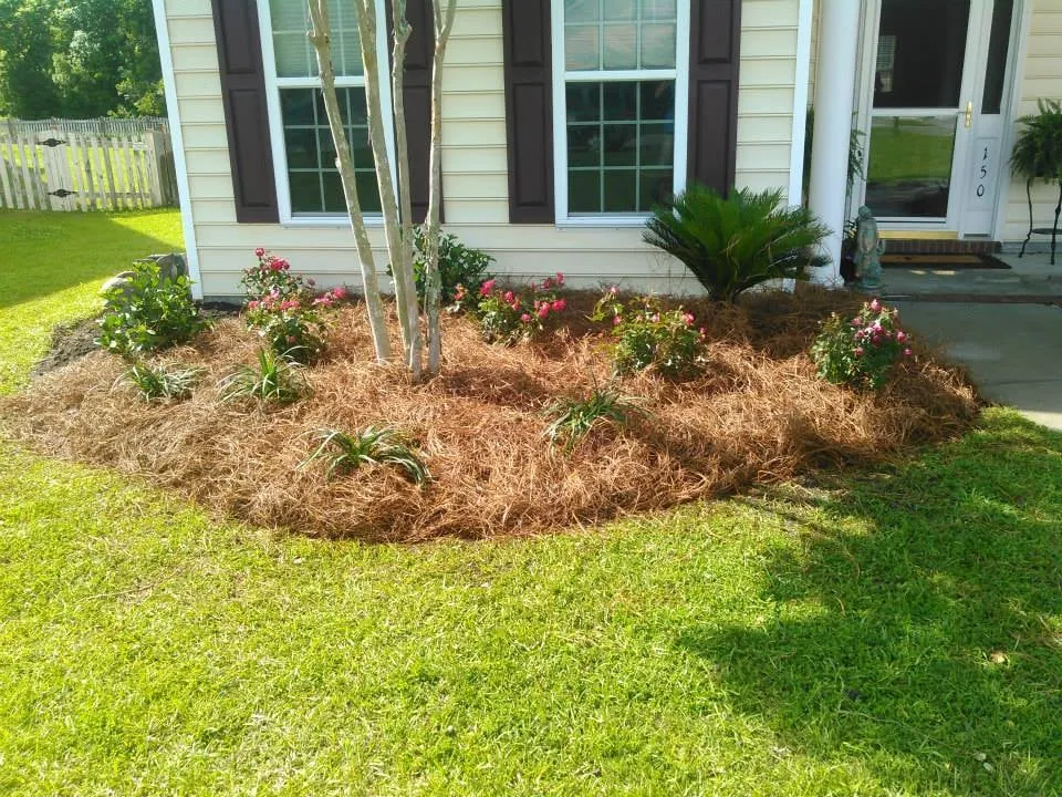 Expert yard maintenance for year-round maintenance across North Charleston, SC - Home Solutions of Charleston