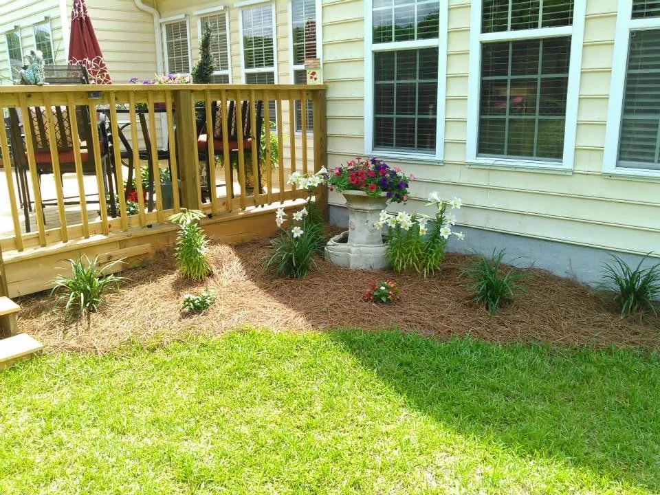 Reliable lawn care service in North Charleston, SC - Home Solutions of Charleston