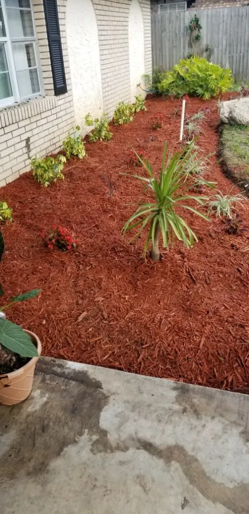 Top-rated lawn care service with custom design in Holly Hill, FL by Home Solutions of Daytona