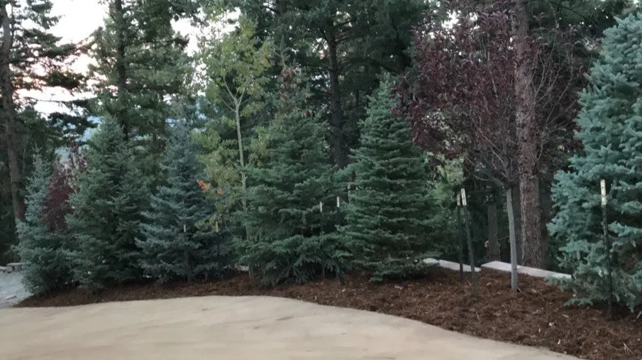 Affordable outdoor landscaping for outdoor upgrades across Dillon, CO - Home Sweet Home Landscaping