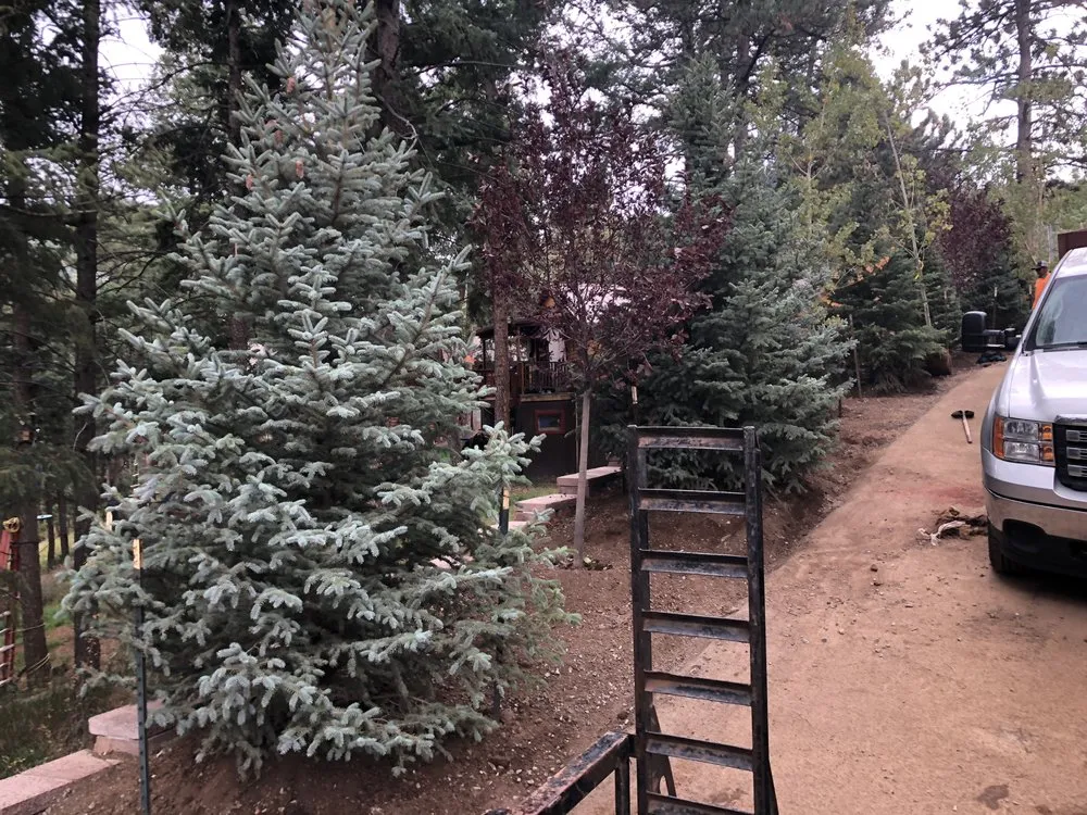 Trusted garden landscaping in Dillon, CO by Home Sweet Home Landscaping