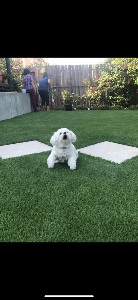 Trusted lawn mowing service for year-round maintenance across Encino, CA - Home Sweet Home Remodeling