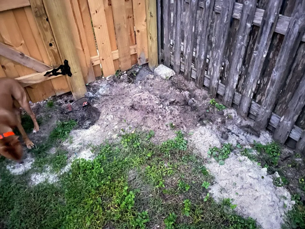 Top-rated lawn care service in Cleveland, TN - Home Team