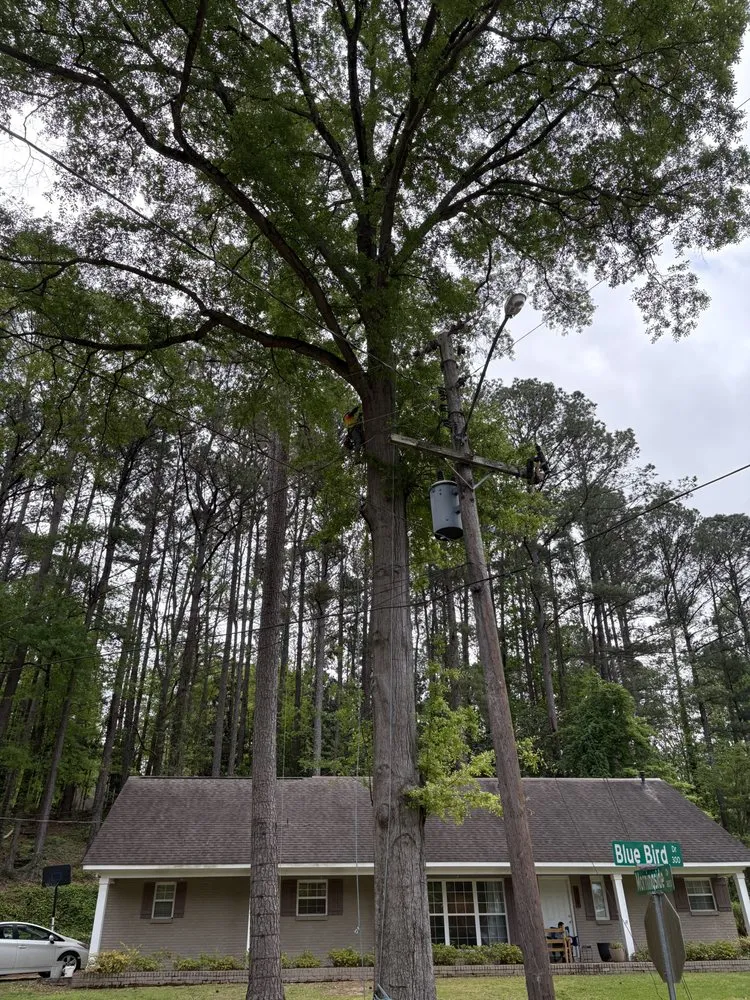 Trusted residential landscaping for residential properties across Belmont, MS - Home to Heaven Concepts