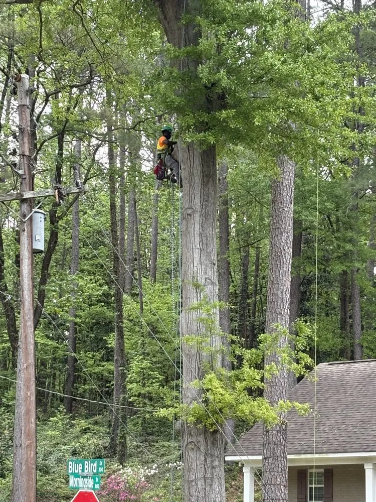 Trusted outdoor landscaping in Belmont, MS by Home to Heaven Concepts