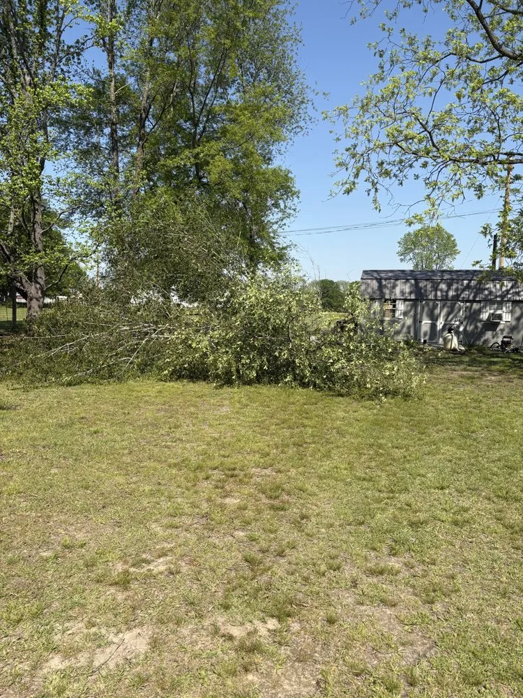 Professional landscaping services for residential properties across Belmont, MS - Home to Heaven Concepts