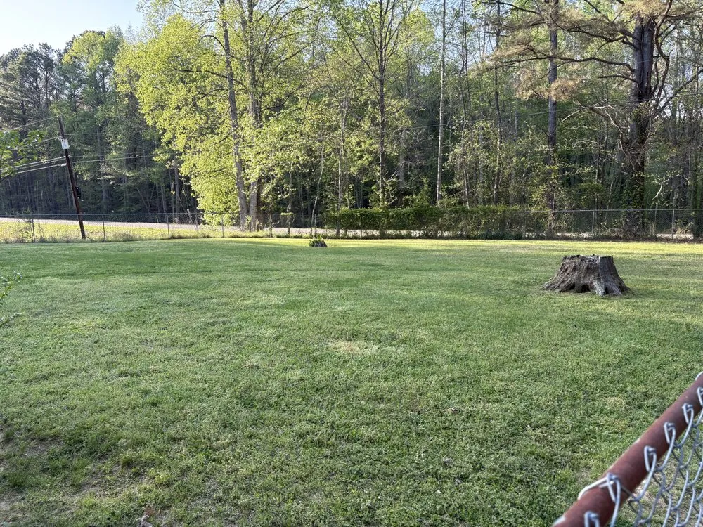 Trusted landscape design in Belmont, MS by Home to Heaven Concepts