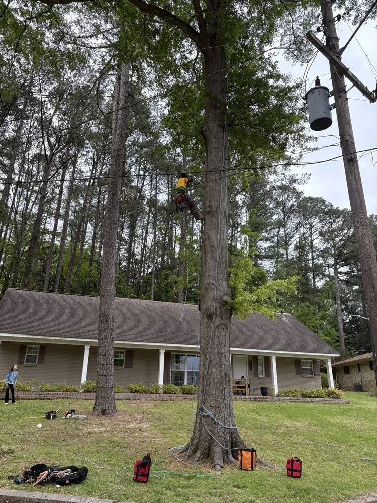 Expert yard cleanup service with custom design in Belmont, MS by Home to Heaven Concepts