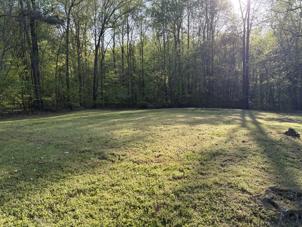 Local yard cleanup service experts serving Belmont, MS - Home to Heaven Concepts