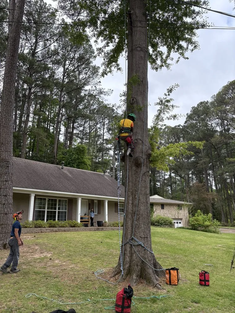 Affordable landscape design for homes in Belmont, MS by Home to Heaven Concepts