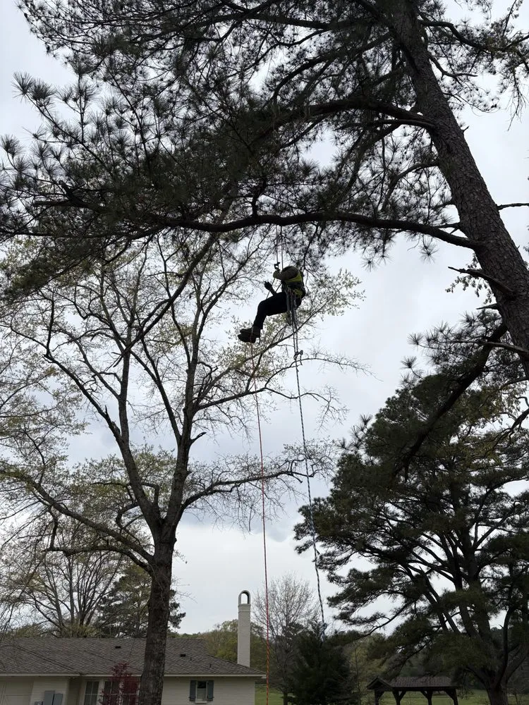 Trusted yard maintenance in Belmont, MS by Home to Heaven Concepts